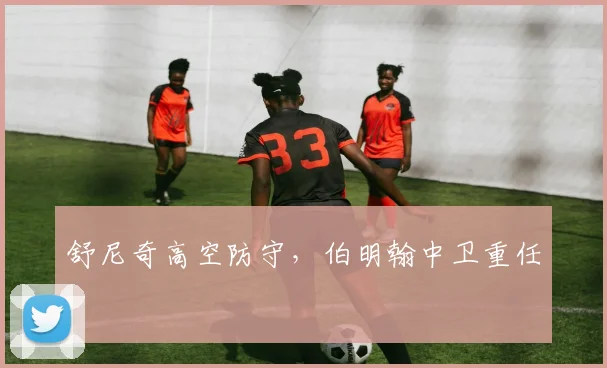 必赢官网平台入口 - 舒尼奇高空防守，伯明翰中卫重任