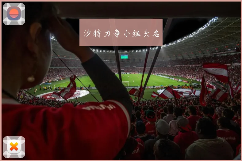 必赢官网平台入口 - 沙特力争小组头名