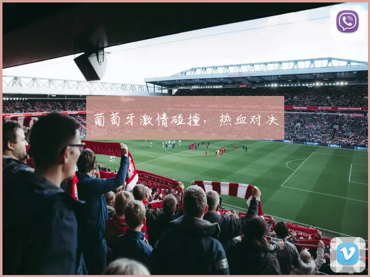 必赢官网平台入口 - 葡萄牙激情碰撞，热血对决
