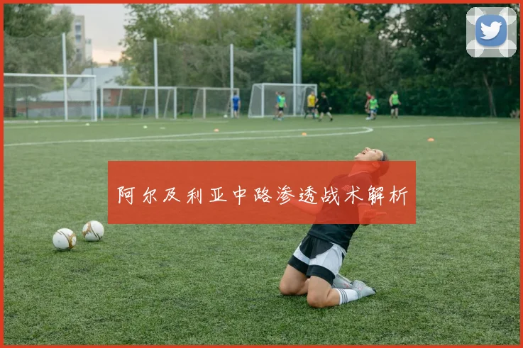 必赢官网平台入口 - 阿尔及利亚中路渗透战术解析