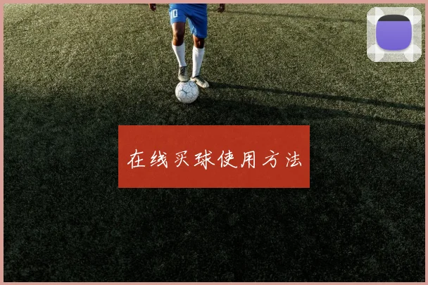 必赢官网平台入口 - 在线买球使用方法