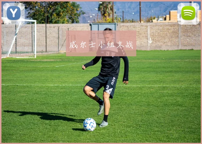 必赢官网平台入口 - 威尔士小组末战