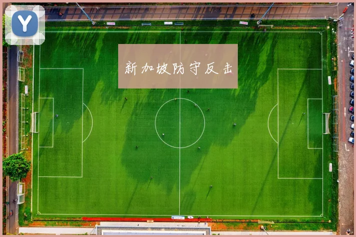 必赢官网平台入口 - 新加坡防守反击