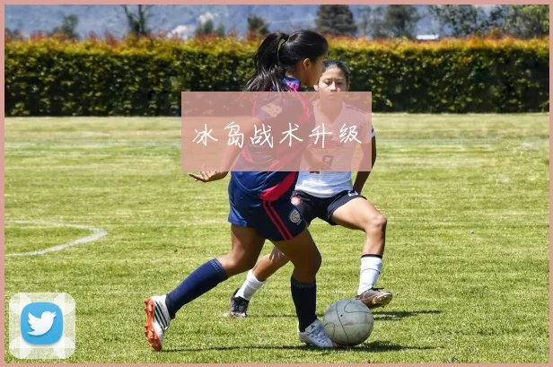 必赢官网平台入口 - 冰岛战术升级