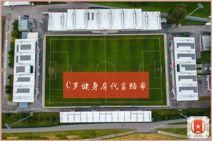 必赢官网平台入口 - C罗健身房代言赔率