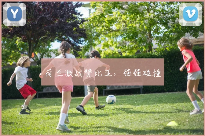 必赢官网平台入口 - 荷兰激战赞比亚，强强碰撞