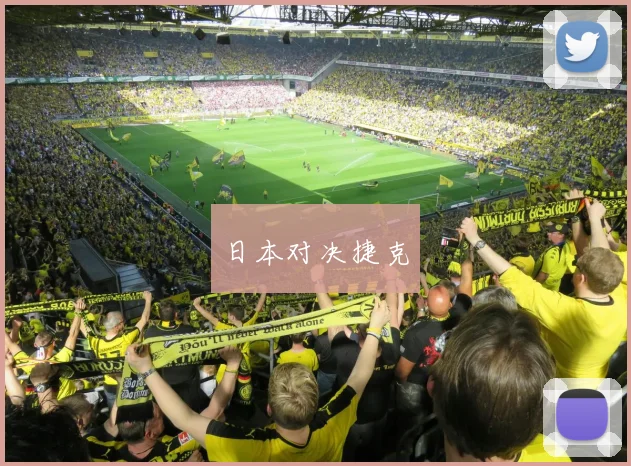 必赢官网平台入口 - 日本对决捷克