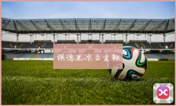 必赢官网平台入口 - 佩德里冲击金靴