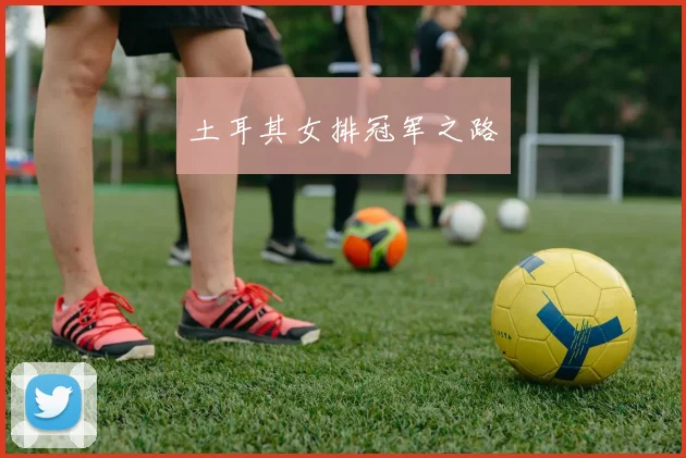 必赢官网平台入口 - 土耳其女排冠军之路