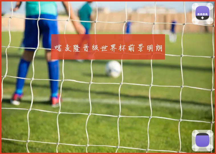 必赢官网平台入口 - 喀麦隆晋级世界杯前景明朗