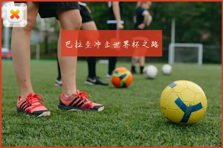 必赢官网平台入口 - 巴拉圭冲击世界杯之路