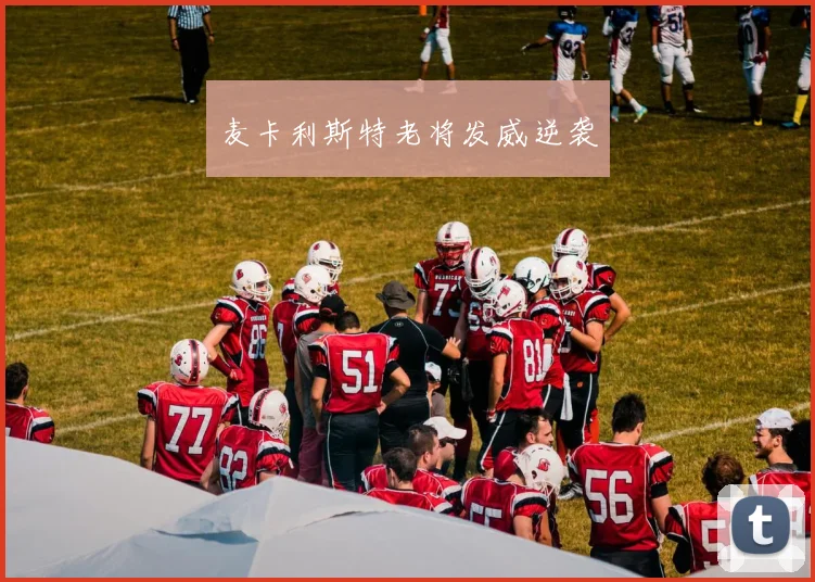 必赢官网平台入口 - 麦卡利斯特老将发威逆袭