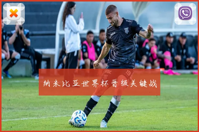 必赢官网平台入口 - 纳米比亚世界杯晋级关键战