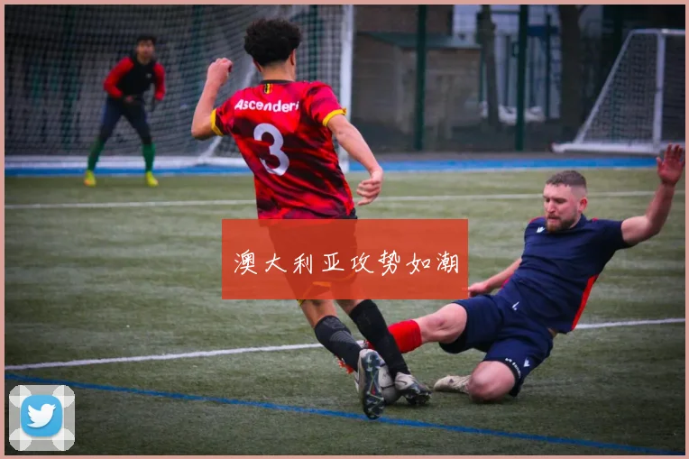 必赢官网平台入口 - 澳大利亚攻势如潮