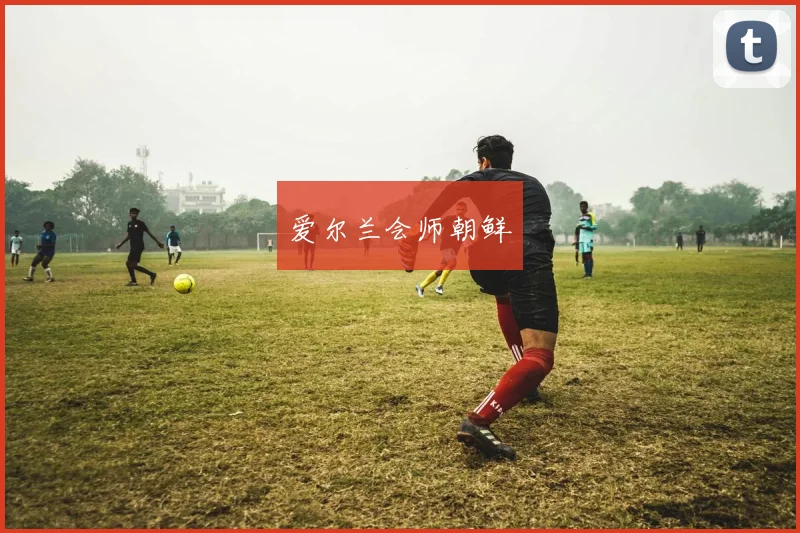 必赢官网平台入口 - 爱尔兰会师朝鲜