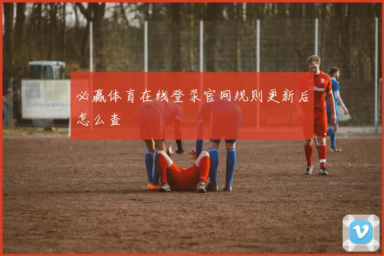 必赢体育在线登录官网规则更新后怎么查