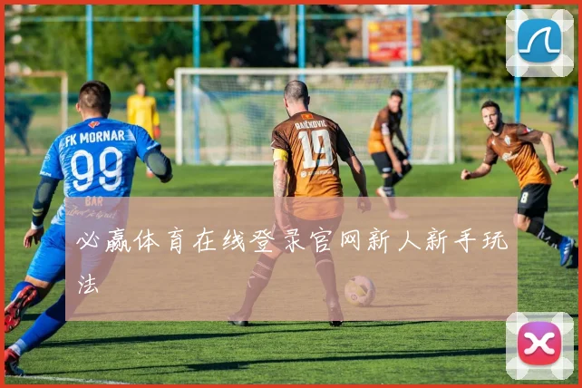 必赢体育在线登录官网新人新手玩法