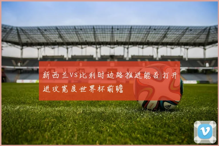 新西兰vs比利时边路推进能否打开进攻宽度世界杯前瞻