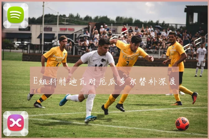 E组科特迪瓦对厄瓜多尔替补深度