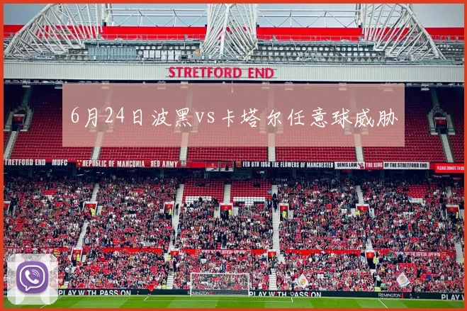 6月24日波黑vs卡塔尔任意球威胁